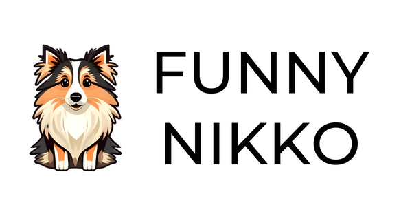 Funny Nikko logo