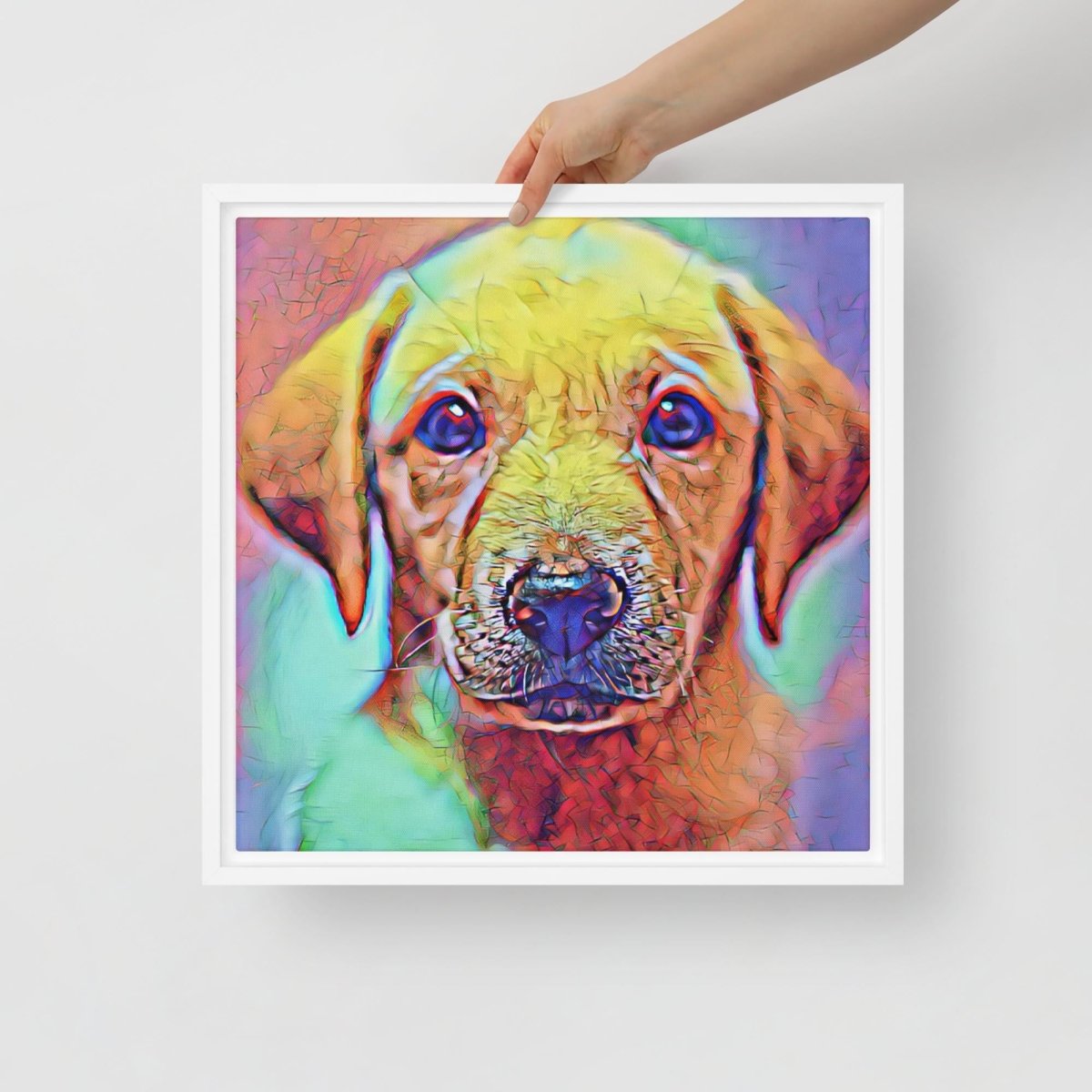 Lab Eyes Framed canvas - Funny Nikko