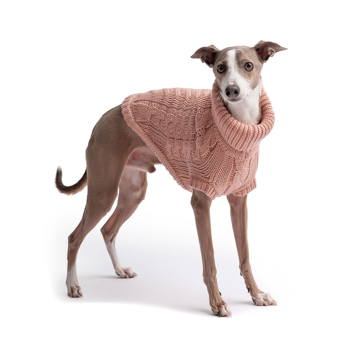 Snuggly Chalet Pet Sweater - Funny Nikko